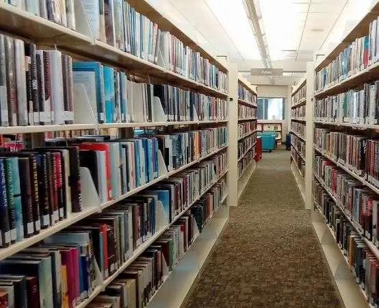 Jak ostrowska biblioteka pomaga kształcić przyszłych bibliotekarzy - praktyka na miejscu