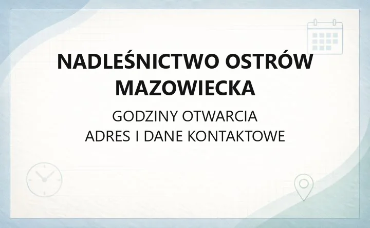 Nadleśnictwo Ostrów Mazowiecka - kontakt, sprzedaż drewna, leśnictwa i noclegi w lesie