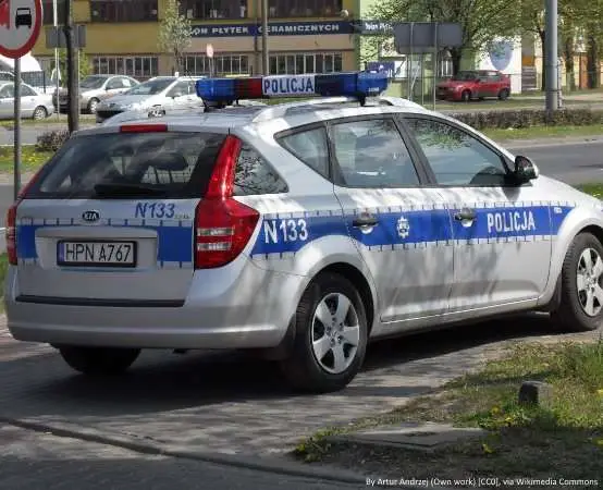 29-latek pędził 128 km/h w Czekanowie i miał ponad 14 g marihuany w aucie - Ostrów Wielkopolski