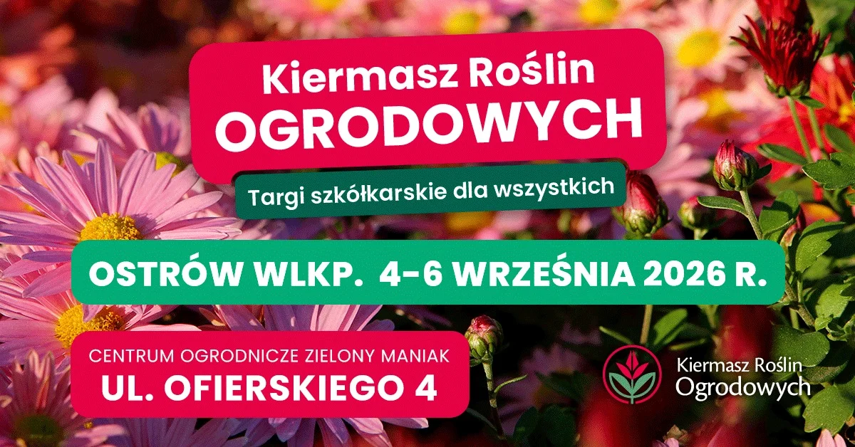Grafika promocyjna wydarzenia Jesienny kiermasz kwiatów i roślin ogrodowych – Ostrów Wielkopolski 2026: rośliny i ogród
