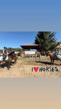 Grafika promocyjna wydarzenia Zawody w skokach przez przeszkody i hobby horse — 29 marca i 31 maja 2026