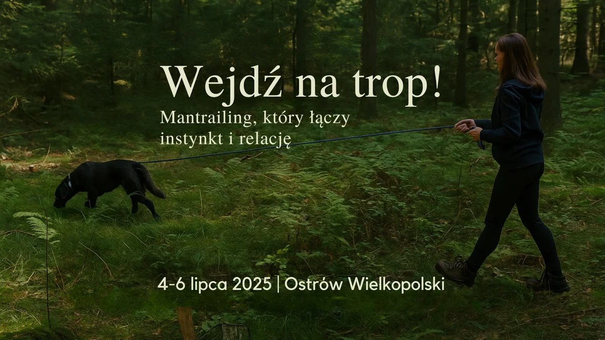 Grafika promocyjna wydarzenia Warsztaty mantrailingu dla początkujących w Ostrowie Wielkopolskim